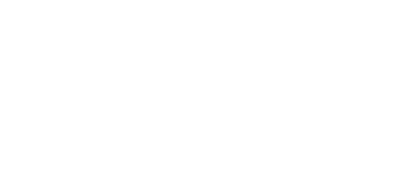 Design element on the left